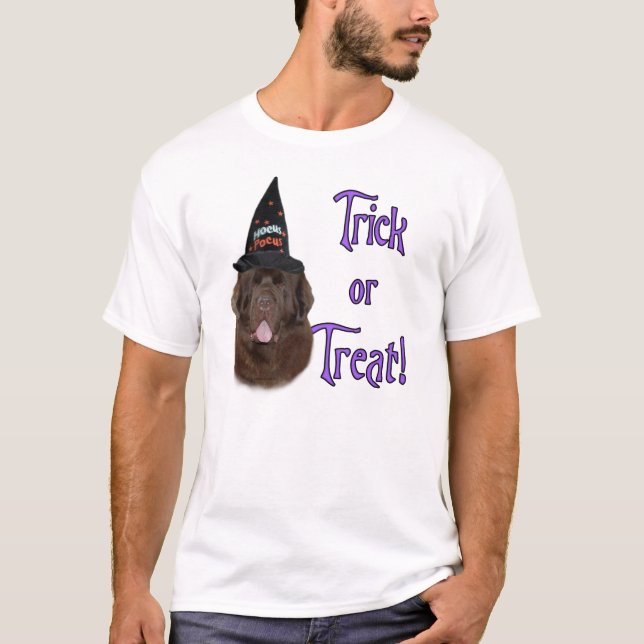 Camiseta Terra Nova (marrom) Truque (Frente)