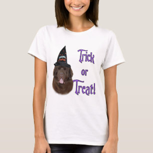 Camiseta Terra Nova (marrom) Truque