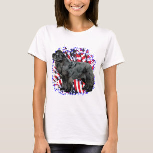 Camiseta Terra Nova (preto) Patriota