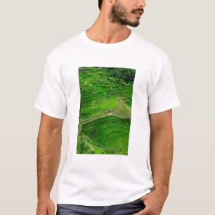 Camiseta Terraços de arroz verde, Filipinas