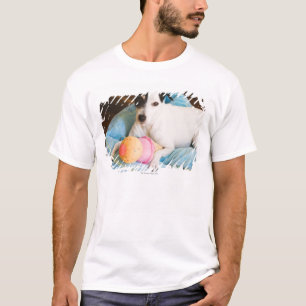 Camiseta Terrier de Jack russell que encontra-se para baixo