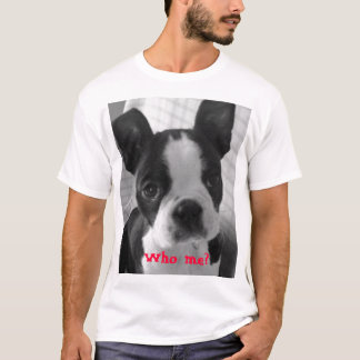Camiseta terrier do bw Boston, quem mim?