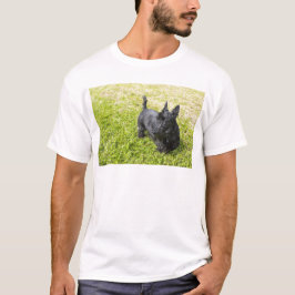 Camiseta Terrier Escocês