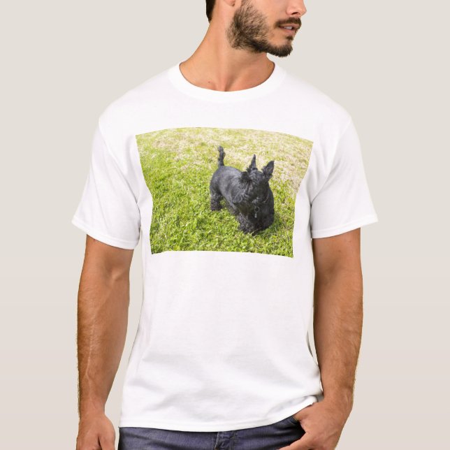 Camiseta Terrier Escocês (Frente)