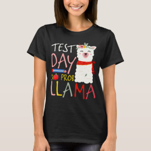 Camiseta Testando Dia do Teste Sem Prob Llama Professor Pro
