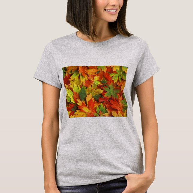 Camiseta teste (Frente)