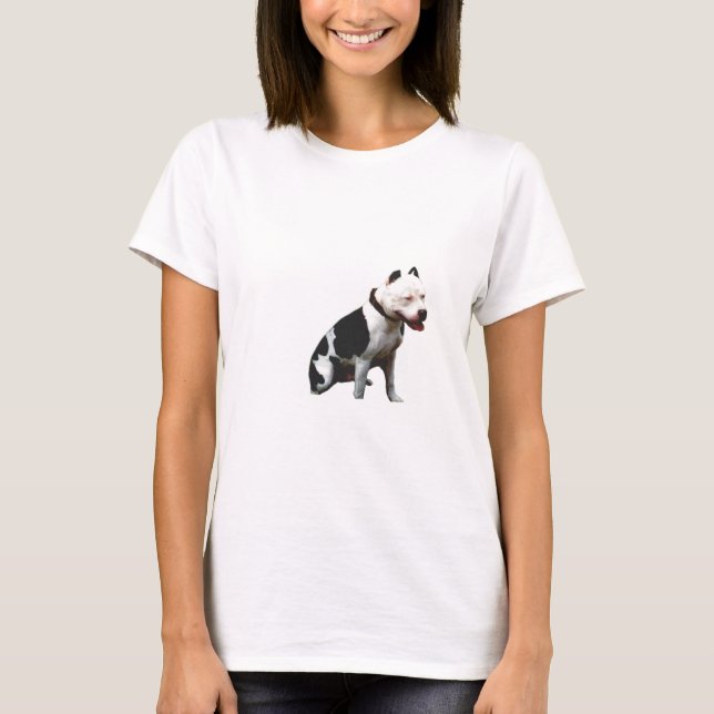 Camiseta Teste (Frente)