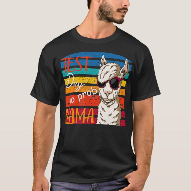 Camiseta Teste do Dia Sem Prob Llama Professor J (Frente)