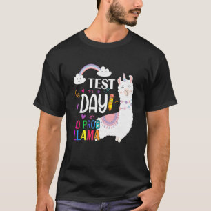 Camiseta Teste no dia do teste no teste do professor Llama
