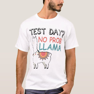 Camiseta teste t-shirt do lama do prob do dia