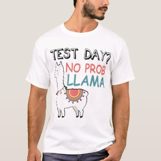Camiseta teste t-shirt do lama do prob do dia