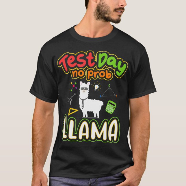 Camiseta Testes para o Dia de Teste dos Professores Sem Pro (Frente)