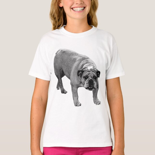 Camiseta Teto do Bulldog Noite de Neve (Frente)