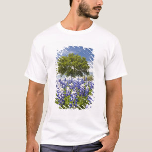 Camiseta Texas bluebonnets(lupinus texensis) e carvalho