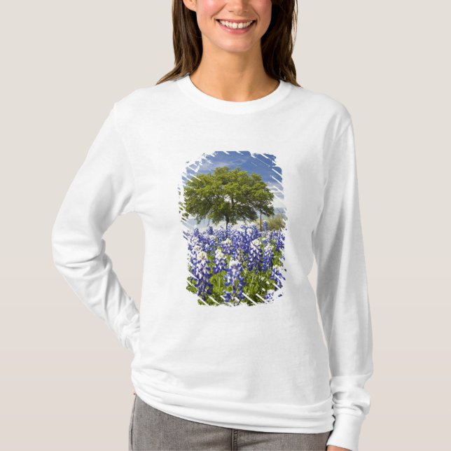 Camiseta Texas bluebonnets(lupinus texensis) e carvalho (Frente)