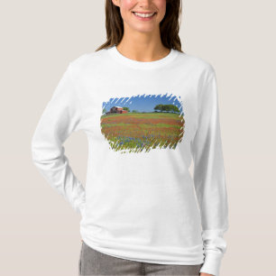 Camiseta Texas, Texas Hill Country, pincel texano