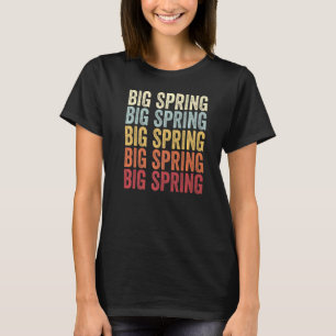 Camiseta Texto de Imagem do Grande Primavera TX Retro do Te
