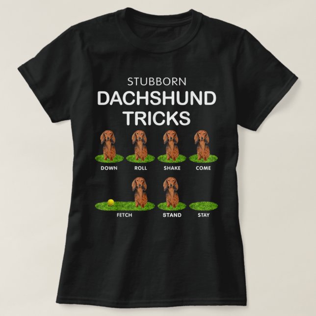Camiseta Thick Headed Dog - Funny Long Hair Dachshund for C (Frente do Design)
