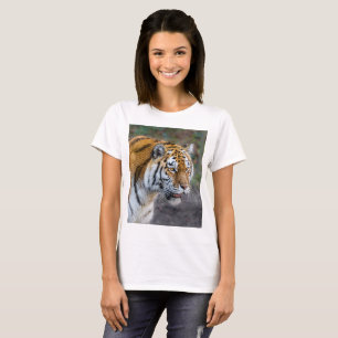 Camiseta Tíger Amur