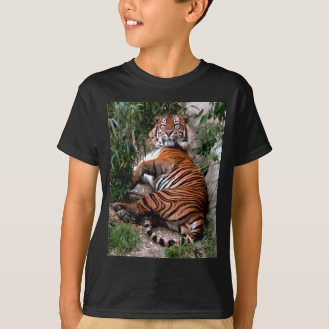 Camiseta Tigre (Frente)