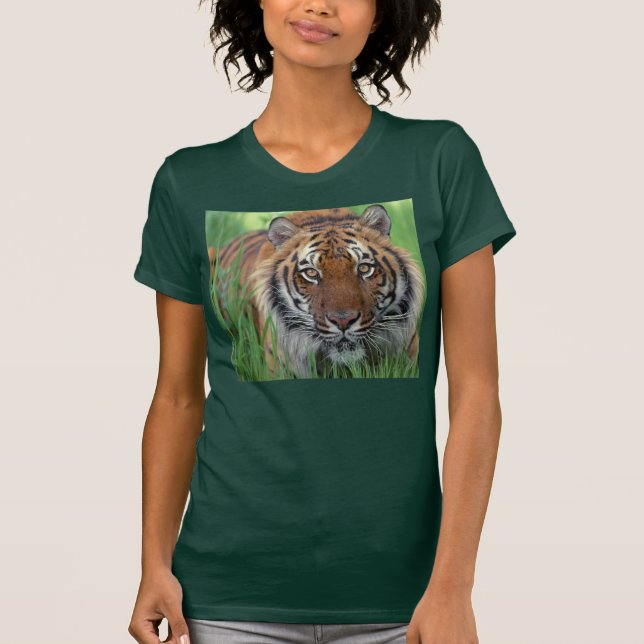 Camiseta Tigre (Frente)