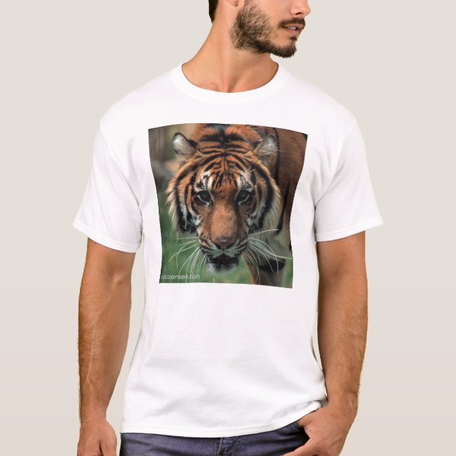 Camiseta Tigre (Frente)