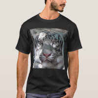 Tigre branco magnífico