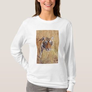 Camiseta Tigre de Bengal real que olha do