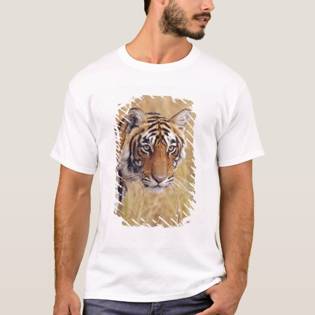 Camiseta Tigre-de-bengala (Frente)