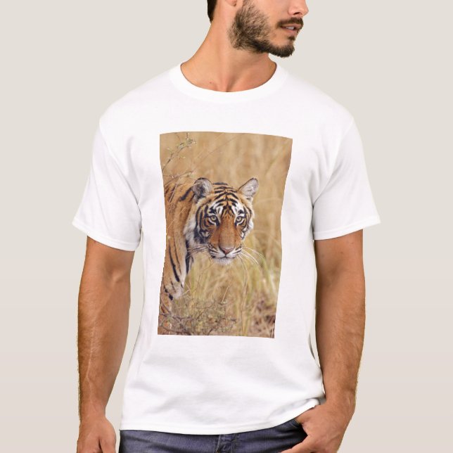 Camiseta Tigre-de-bengala-real (Frente)
