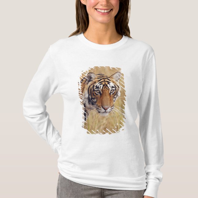 Camiseta Tigre-de-bengala-real (Frente)