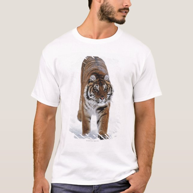 Camiseta Tigre Siberian na neve (Frente)