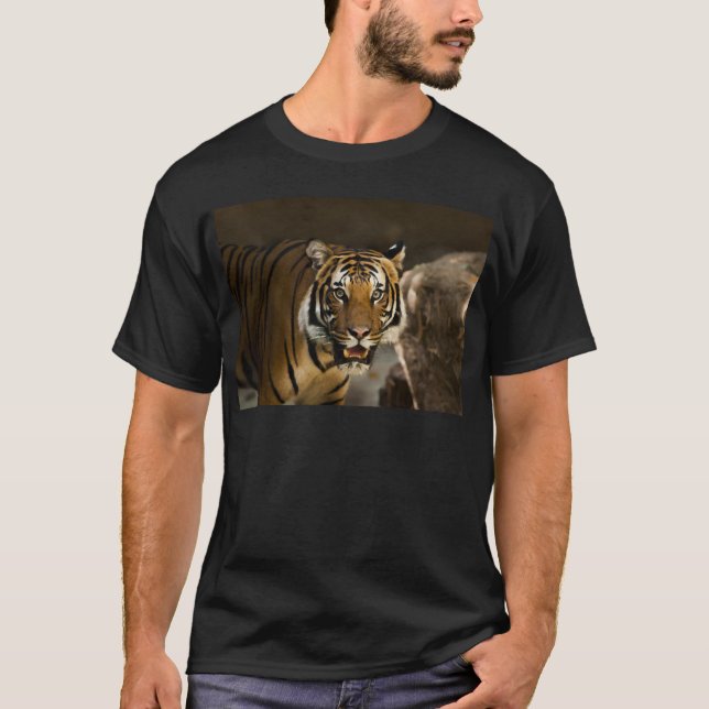 Camiseta Tigre Siberiano (Frente)