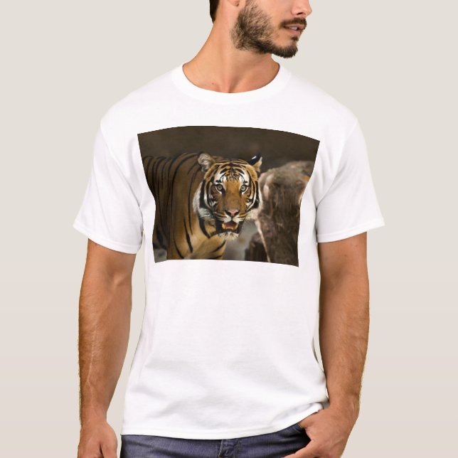 Camiseta Tigre Siberiano (Frente)
