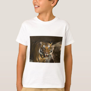 Camiseta Tigre Siberiano