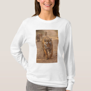Camiseta Tigres de Bengala na pista, Ranthambhor