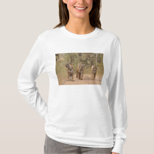 Camiseta Tigres de Bengala na pista, Ranthambhor
