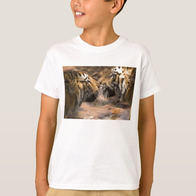 Camiseta Tigres Tigres De Gato Stripes Animais Padrões De P (Frente)