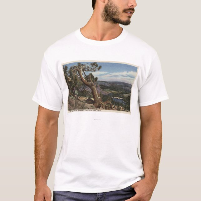 Camiseta Timberline na crista gigantesca (Frente)