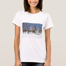 Típica Cidade de Vermont no Inverno