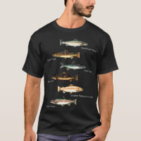 Tipos De Capturas Espécies De Peixes Captação Pesc