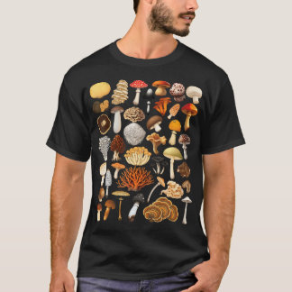 Camiseta Tipos De Cogumelos Micologia Fungos Caça Cogumelo