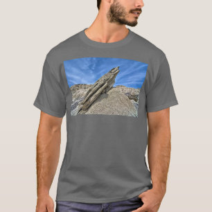 Camiseta Toadstool Geological Park 1