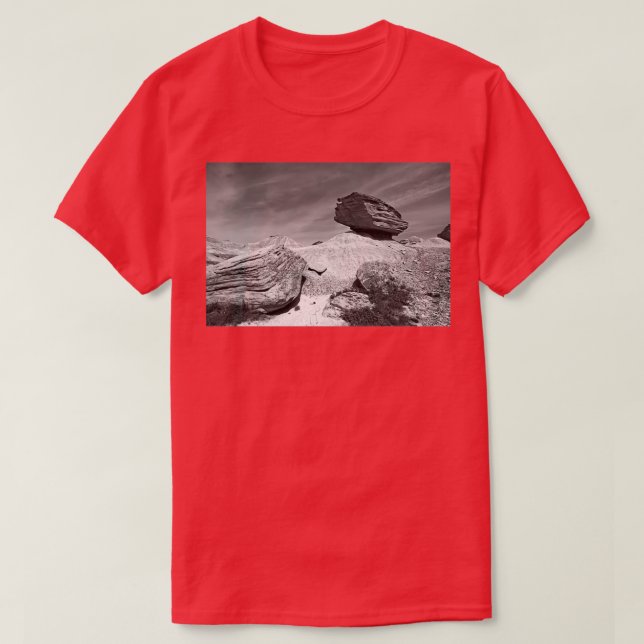 Camiseta Toadstool Geological Park Monochrome (Frente do Design)