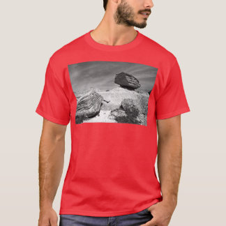 Camiseta Toadstool Geological Park Monochrome