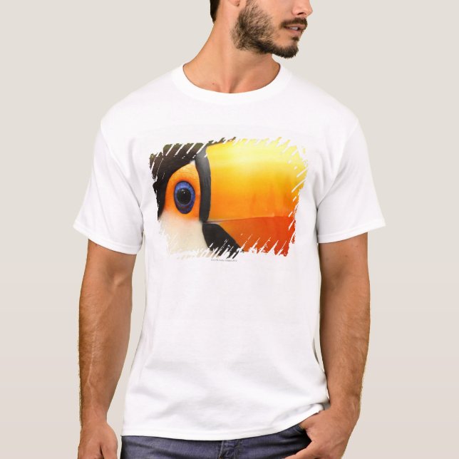 Camiseta Toco Toucan (toco de Ramphastos) é o maior (Frente)