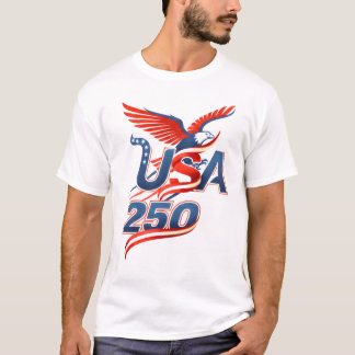 CAMISETA TODO AMERICANO 250
