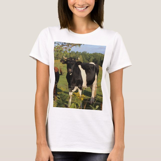 Camiseta Tome a Bull pelos chifres (Frente)