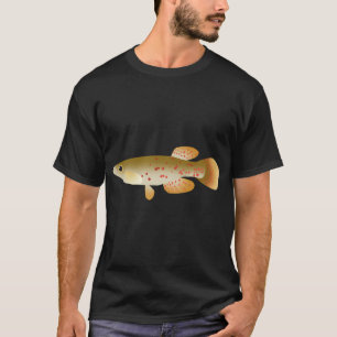 Camiseta Topminnow Listrado (F. chrysotus)