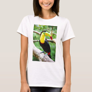 Camiseta Toucan bonito